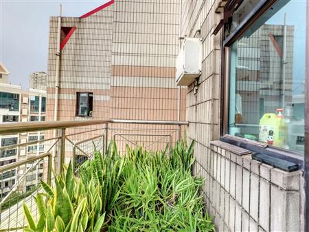 百仕达花园一期-阳台