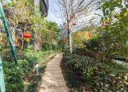 云顶道雅居-环境绿化