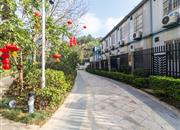 云顶道雅居-环境绿化