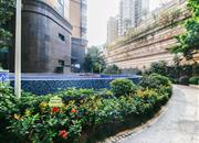 云顶道雅居-环境绿化