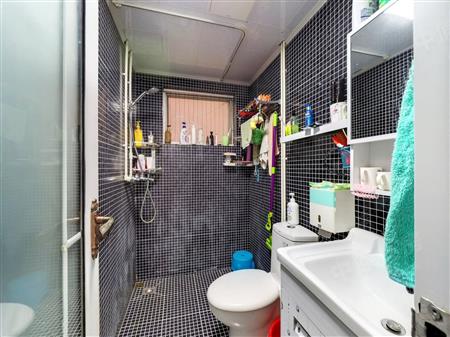 帝景峰（茂业城帝景峰）-卫生间