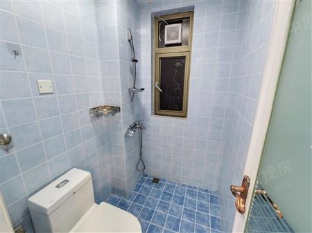 深业东岭花园（二期）-卫生间