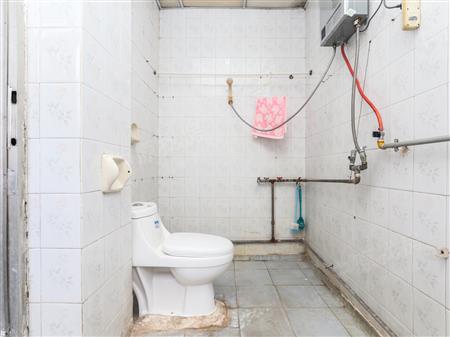 华丽东村-卫生间