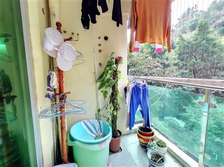 信义假日名城(五期B山翠居)-阳台