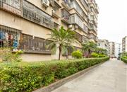 竹林花园-环境绿化