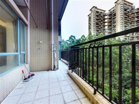 康达尔花园（五期蝴蝶堡）-阳台