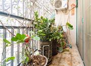 海湾明珠花园（一期）-阳台