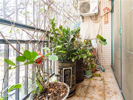 海湾明珠花园（一期）-阳台