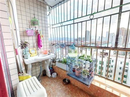 梧桐海景苑-阳台