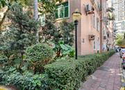 金泰花园-环境绿化