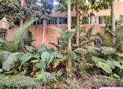 金泰花园-环境绿化