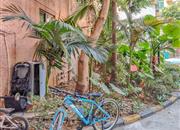 金泰花园-环境绿化