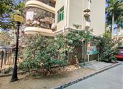 泰华苑-环境绿化