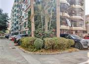 泰华苑-环境绿化