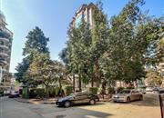 泰华苑-环境绿化