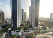 博林君瑞-远景图