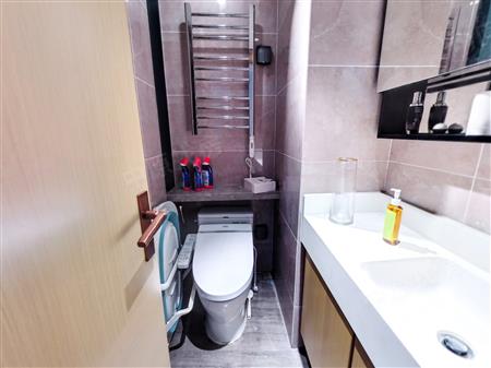 万科麓山（万科麓城四期、金域领峰花园)-卫生间