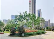 云玺锦庭-环境绿化