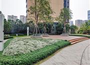 云玺锦庭-环境绿化