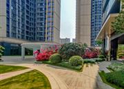 云玺锦庭-环境绿化