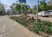 富铭花园-环境绿化