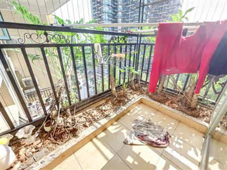 康达尔花园（五期蝴蝶堡）-阳台