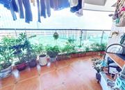 金地海景花园E区-阳台