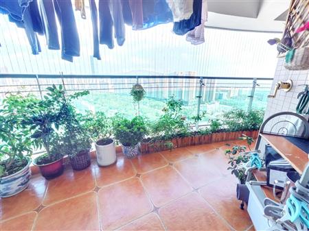 金地海景花园E区-阳台