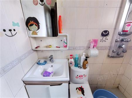 中城康桥花园（一期）-卫生间