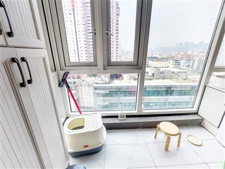 凯旋天玺名庭（凯旋TRC）-阳台