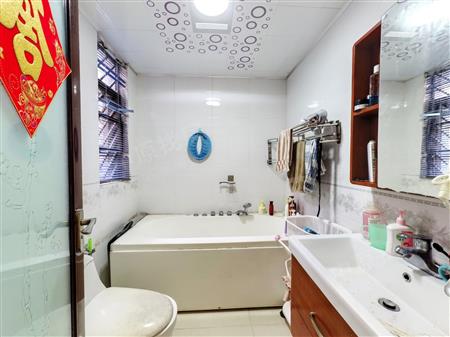 泰华阳光海-卫生间