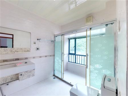 东部翠海轩-卫生间