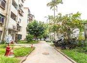 员工住宅-环境绿化