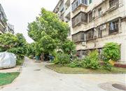 员工住宅-环境绿化