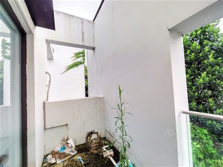 第五园（二期）-阳台