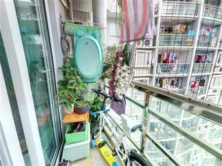 盛世家园（二期）-阳台