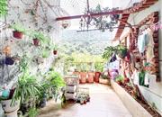 东方.尊峪花园-阳台