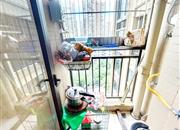 流塘阳光花园-阳台