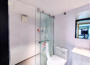 万科麓山（万科麓城四期商办、金域领峰花园)-卫生间