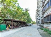 建业小区北区-环境绿化