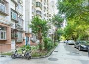 建业小区北区-环境绿化