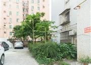 深宝花园-环境绿化