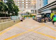 常兴广场-环境绿化