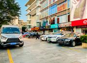 常兴广场-环境绿化