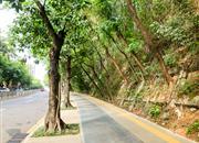 十二橡树庄园(二期)-环境绿化