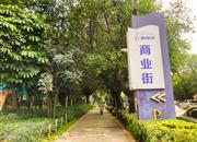 十二橡树庄园(二期)-基础设施