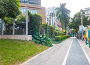 东海花园（君豪阁）-环境绿化