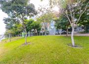 东海花园（君豪阁）-环境绿化