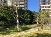 领誉华府-环境绿化