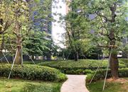 领誉华府-环境绿化